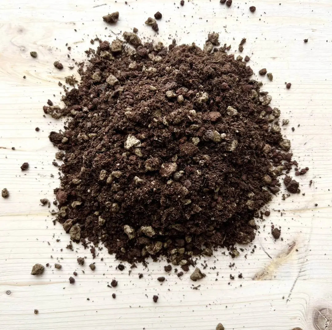 Terriccio professionale Tropical Special Mix su sfondo chiaro, substrato arioso e drenante ideale per piante tropicali, composto da torba, perlite e pomice.