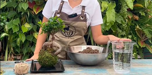 Kit Fai da te Kokedama - i Giardini di Giulia