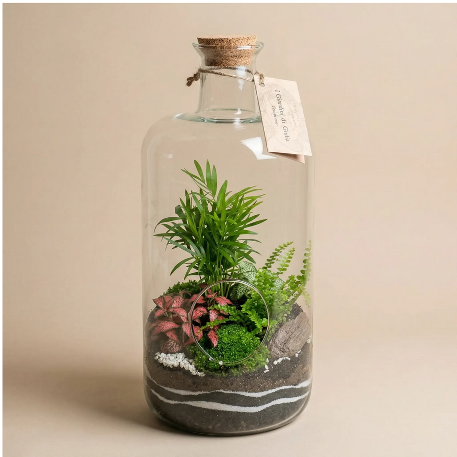 Terrarium bottiglia Alba 19x43cm con palma, fittonia rosa, felce e muschio, tappo sughero