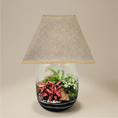 Terrarium Lamparium Oasi Lux elegant