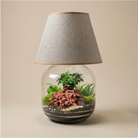 Lamparium Martina 23.5x47cm con bonsai, fittonia rosa, felce e muschio, paralume tortora