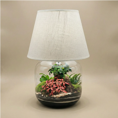 Terrarium Lamparium Martina