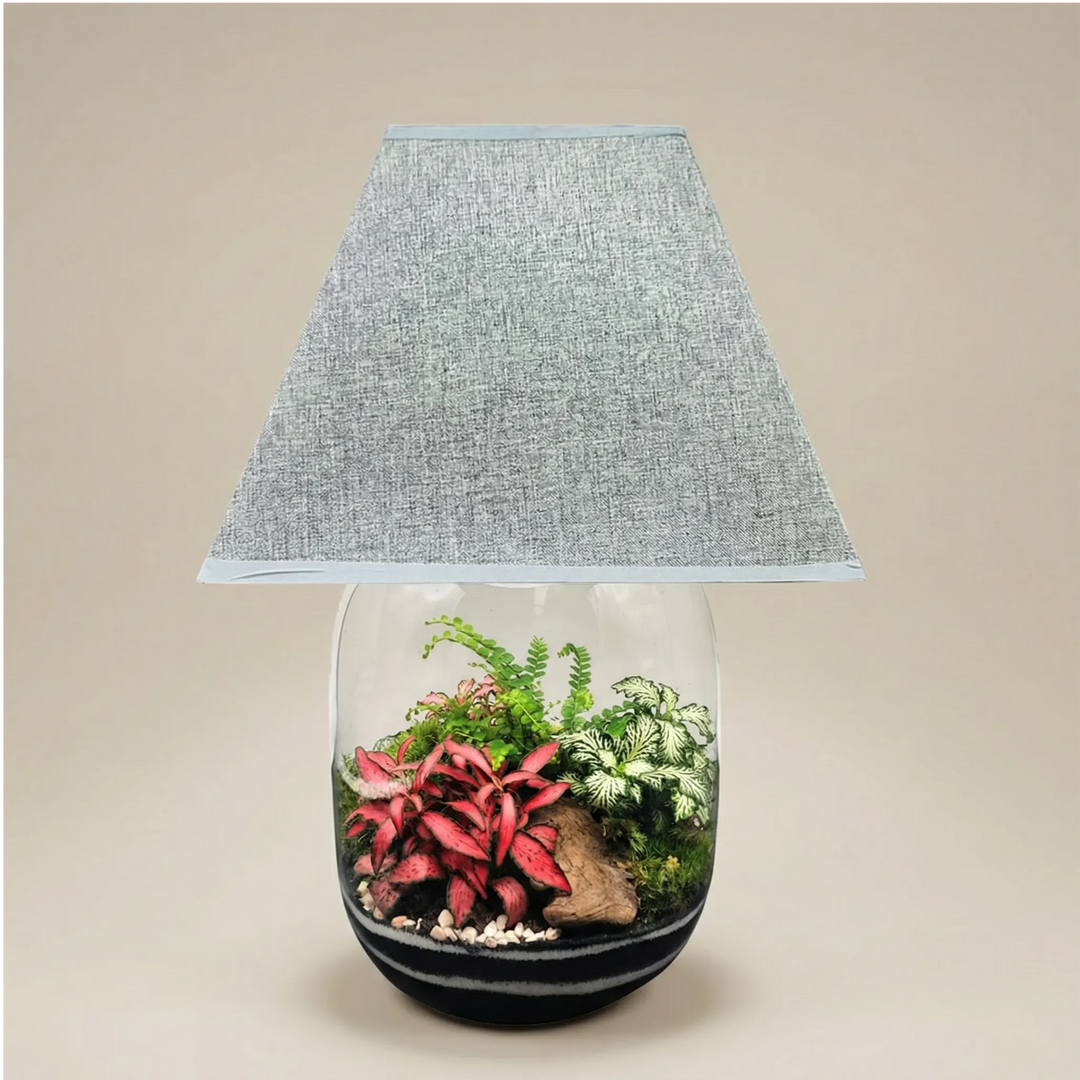 Lamparium Oasi Lux Elegant 22x40cm con fittonia rosa e bianca, paralume grigio