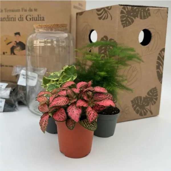 Giardino da interno - terrarium Nadia completato, posizionato su una mensola moderna