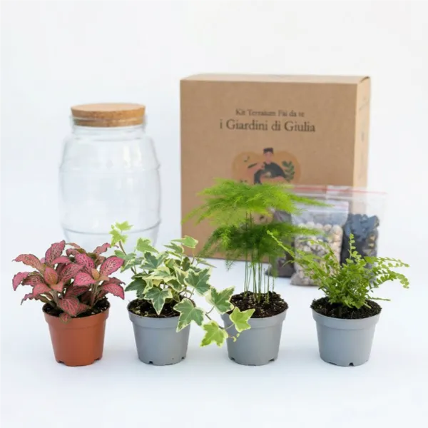 Terrarium fai da te - istruzioni illustrate per l'assemblaggio passo-passo