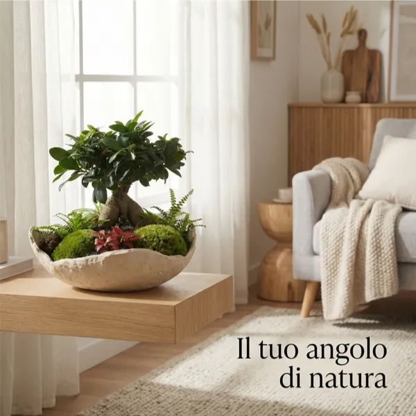 Kit Terrarium Fai da Te Geo Terrarium - terrarium completato in un ambiente domestico moderno