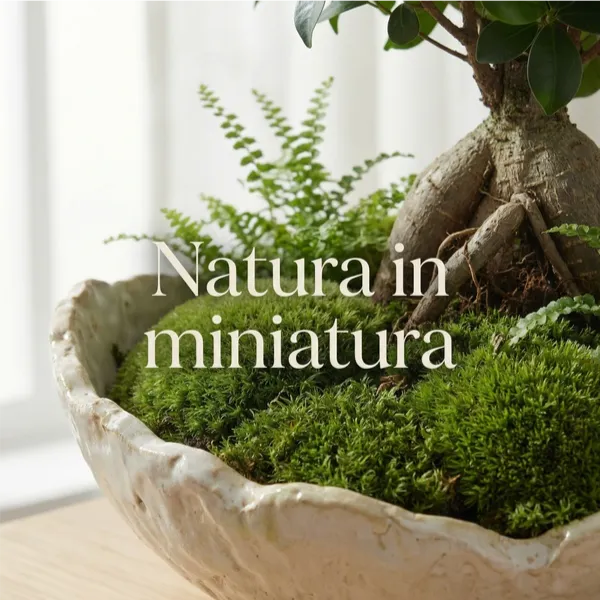 Kit Terrarium Fai da Te Geo Terrarium - dettaglio delle piante vere Fittonia, Hederina e Felce