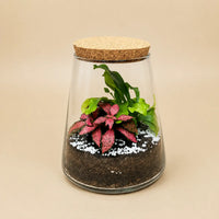 Eco Chic Terrarium 059