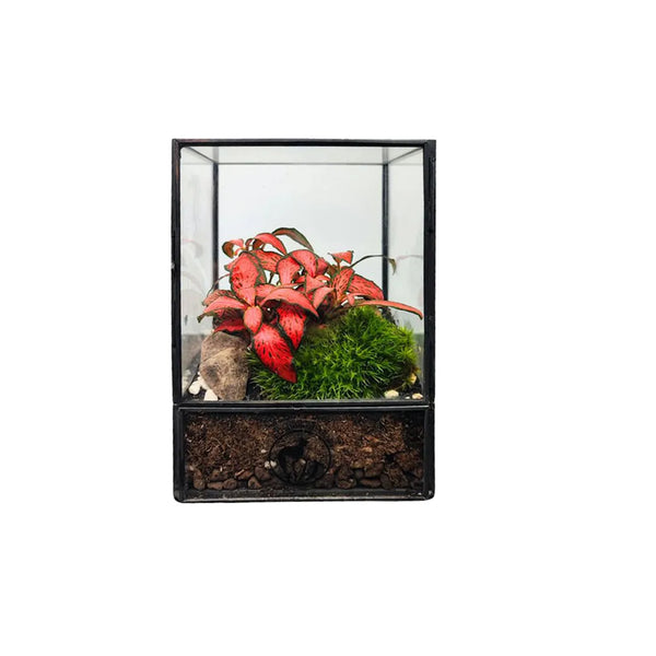 Terrarium Little Eden