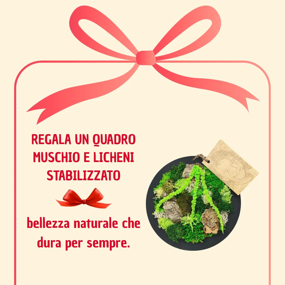Mini tableau rond en mousse et lichen stabilisés avec boîte cadeau