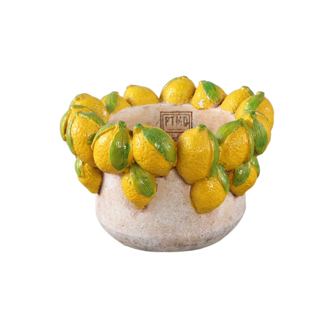 Latesha Yellow round cement pot with lemons L - i Giardini di Giulia  