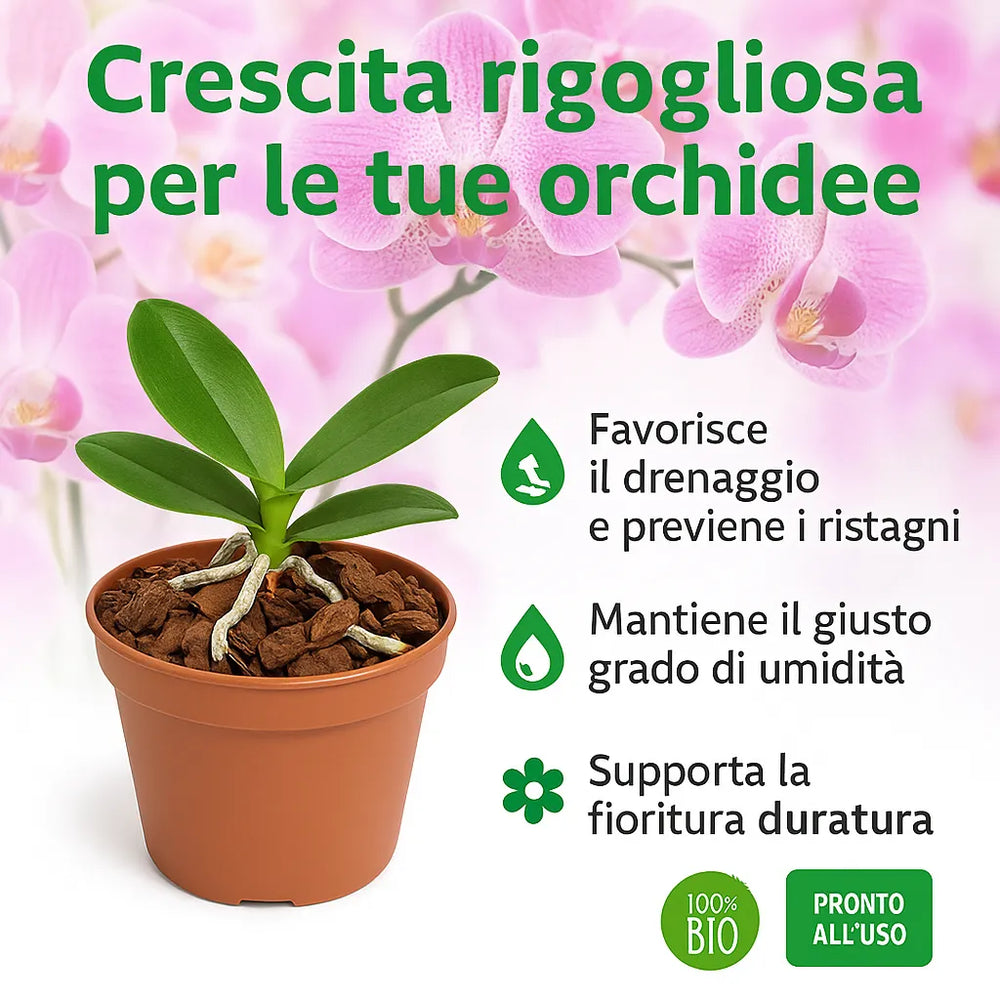 Vaso con orchidea coltivata in bark, con testo informativo che evidenzia i benefici del terriccio: favorisce il drenaggio, mantiene l’umidità e supporta la fioritura duratura.