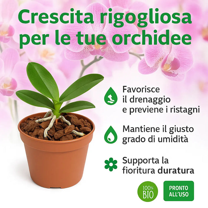 Vaso con orchidea coltivata in bark, con testo informativo che evidenzia i benefici del terriccio: favorisce il drenaggio, mantiene l’umidità e supporta la fioritura duratura.