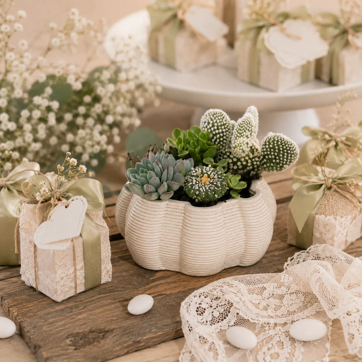 Composizione di piante grasse in vaso ceramica Iris utilizzata come bomboniera green elegante per matrimonio ed eventi speciali.