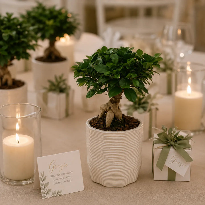 Bonsai Ficus Ginseng in vaso di ceramica artigianale Ermes D.11 inserito in un elegante allestimento matrimonio con candele, confetti e decorazioni naturali.