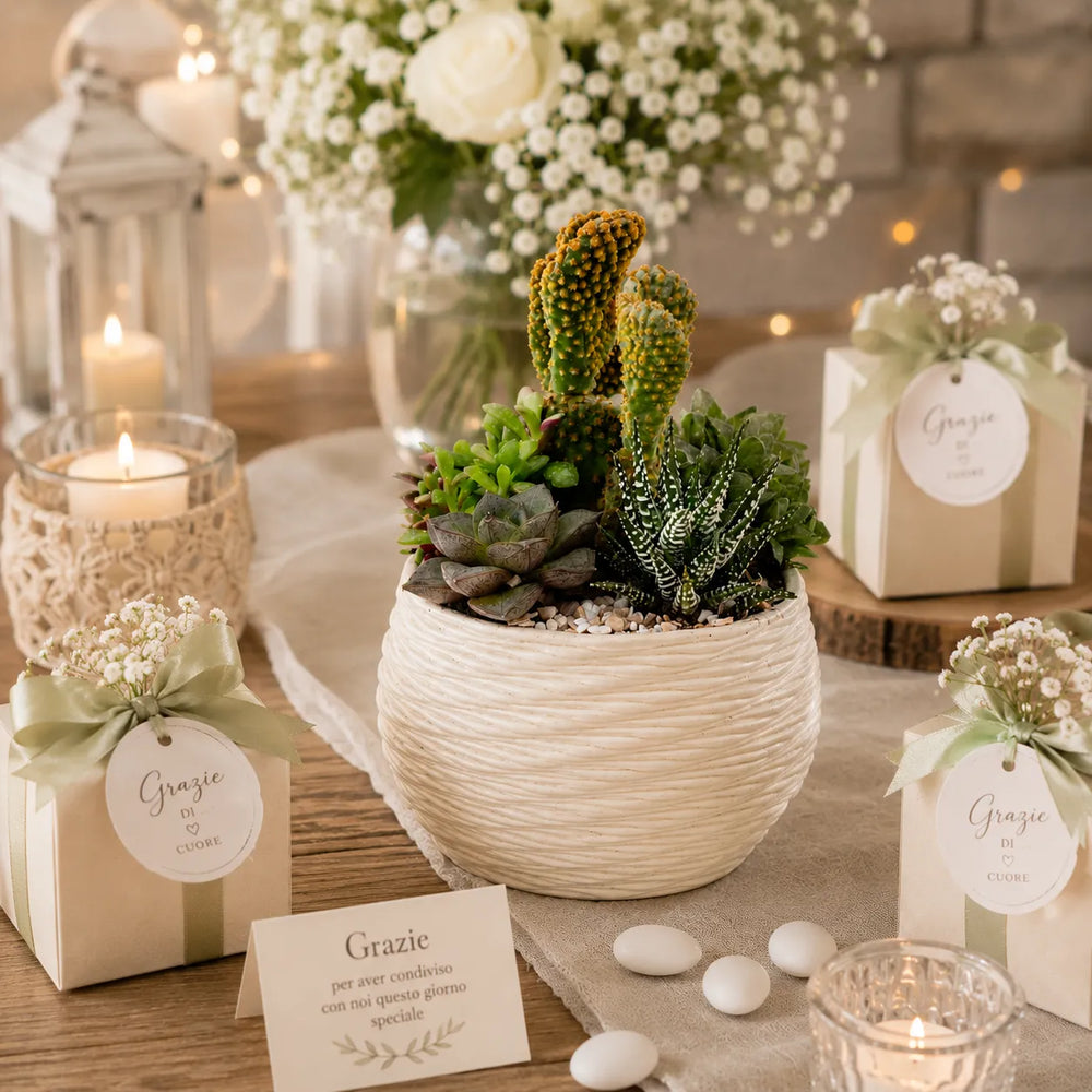 Composizione di cactus e succulente in vaso bianco artigianale con confezioni bomboniera e decorazioni floreali per eventi e matrimoni.