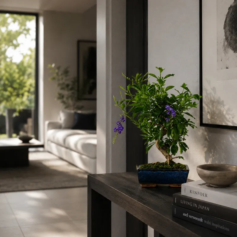 Bonsai Duranta con piccoli fiori viola e vaso bonsai blu posizionato su console in ambiente interno moderno e luminoso.