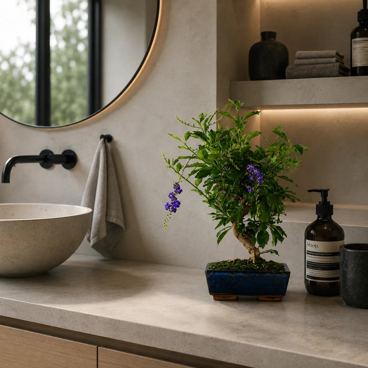 Bonsai Duranta con fiori viola e vaso blu smaltato collocato su lavabo in bagno contemporaneo elegante e luminoso.