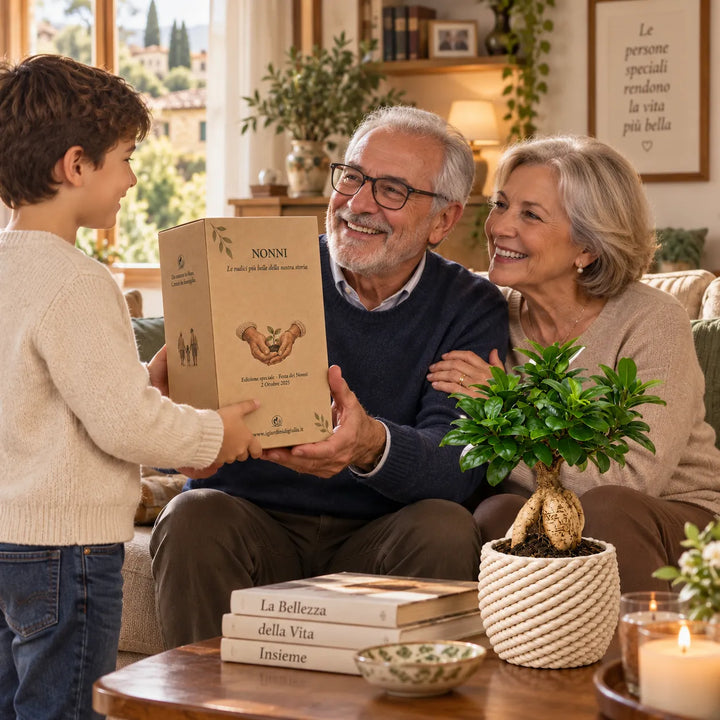 Nipote consegna ai nonni la scatola regalo del Bonsai Ficus Ginseng Carina D.14 cm per la Festa dei Nonni