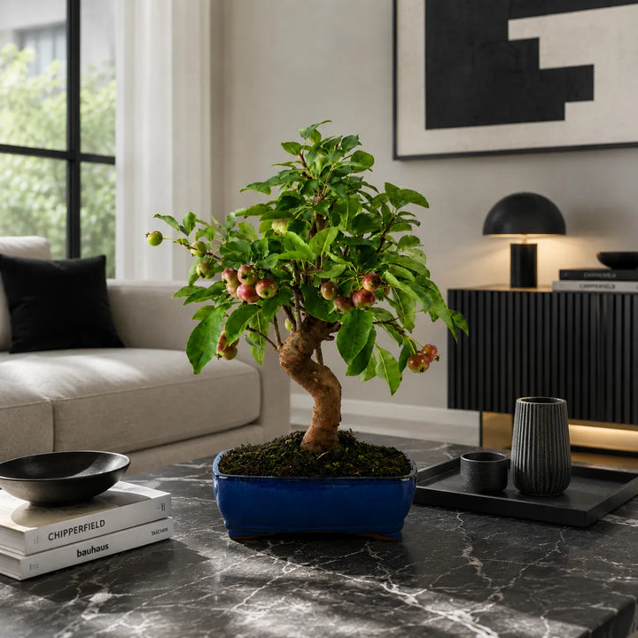 Bonsai Melo Selvatico con frutti ornamentali rossi su tavolo in marmo nero in ambiente interno moderno e raffinato.