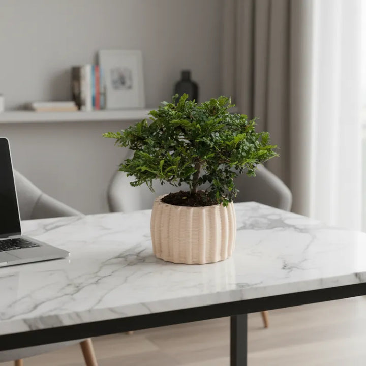 Bonsai Pepe in vaso ceramica artigianale - dettaglio del tronco e delle foglie