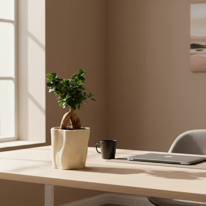 Vaso Venezia in ceramica artigianale per bonsai ficus ginseng - texture e finitura
