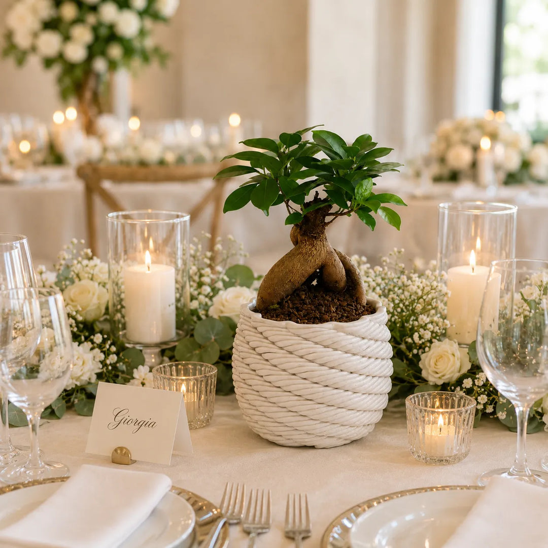 Bonsai Ficus Ginseng in vaso artigianale Carina posizionato come centrotavola elegante per ricevimento matrimonio tra candele, fiori bianchi e mise en place raffinata.