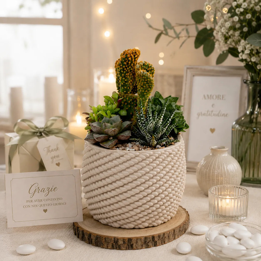 Composizione di piante grasse e cactus in vaso artigianale Carina utilizzata come centrotavola elegante per matrimonio, con decorazioni floreali e candele.