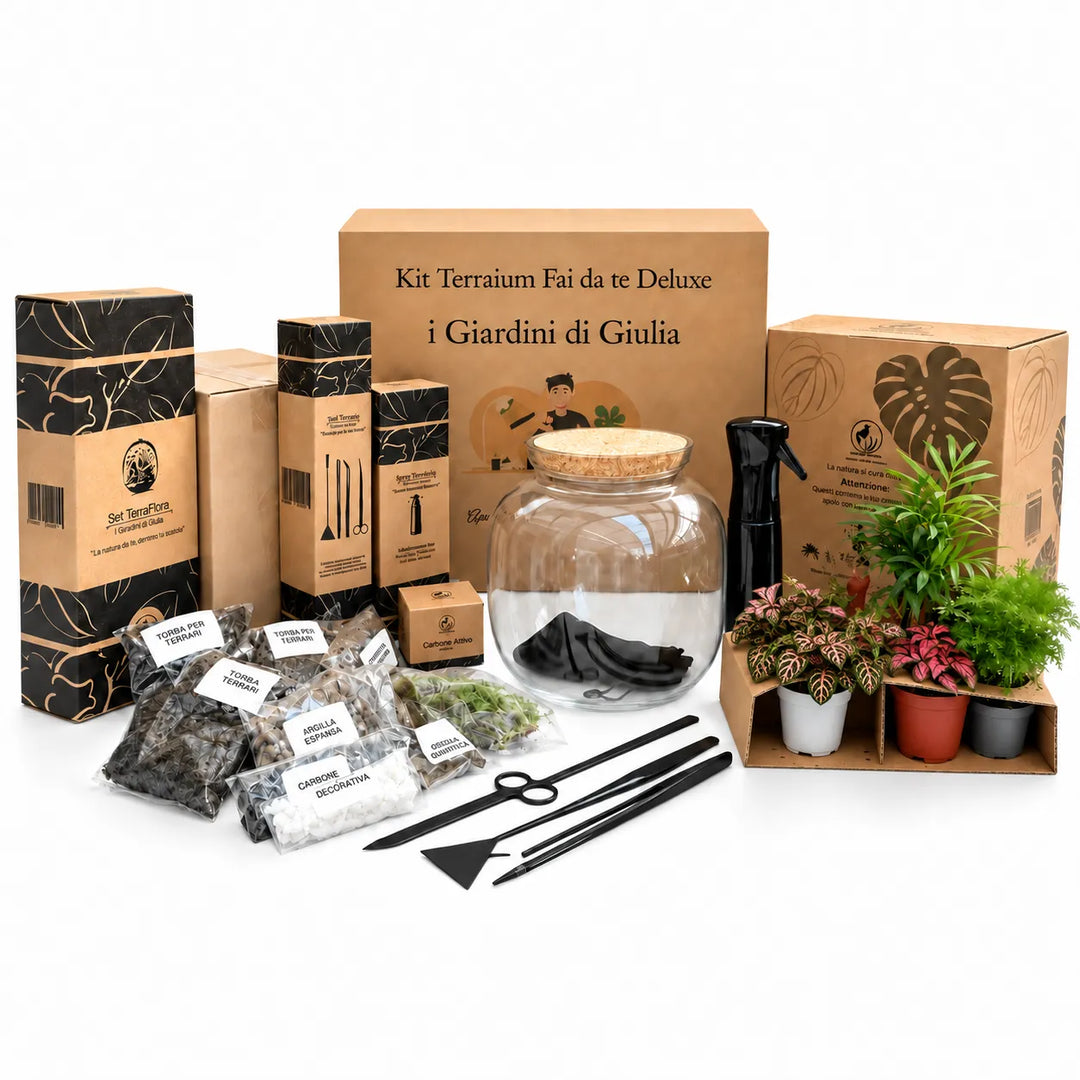 DIY Terrarium Master Kit | The Super Kit for Creating a Unique Glass Garden
