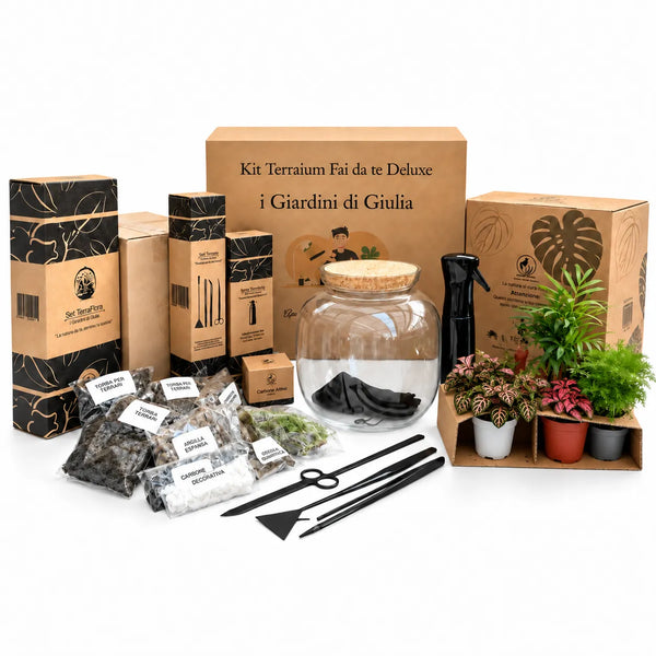DIY Terrarium Master Kit | The Super Kit for Creating a Unique Glass Garden