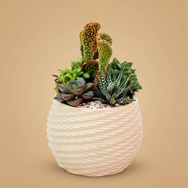Vaso Per Piante Grasse A Forma Di Testa - Fioriera In Resina Con Foro Di Drenaggio - 11x16 Cm - 4