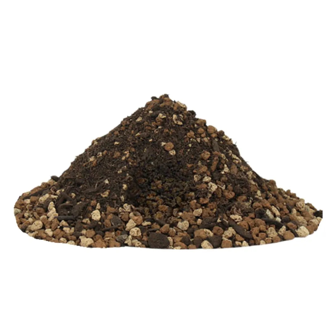 Dettaglio del substrato Terrabonsai: miscela di pomice, torba e lapillo vulcanico

