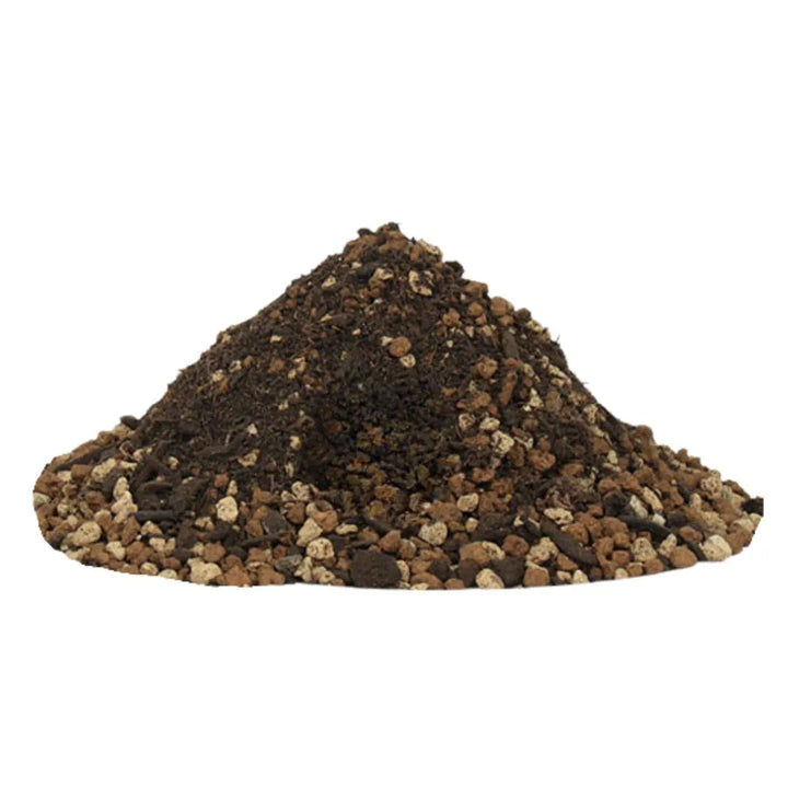 Dettaglio del substrato Terrabonsai: miscela di pomice, torba e lapillo vulcanico


