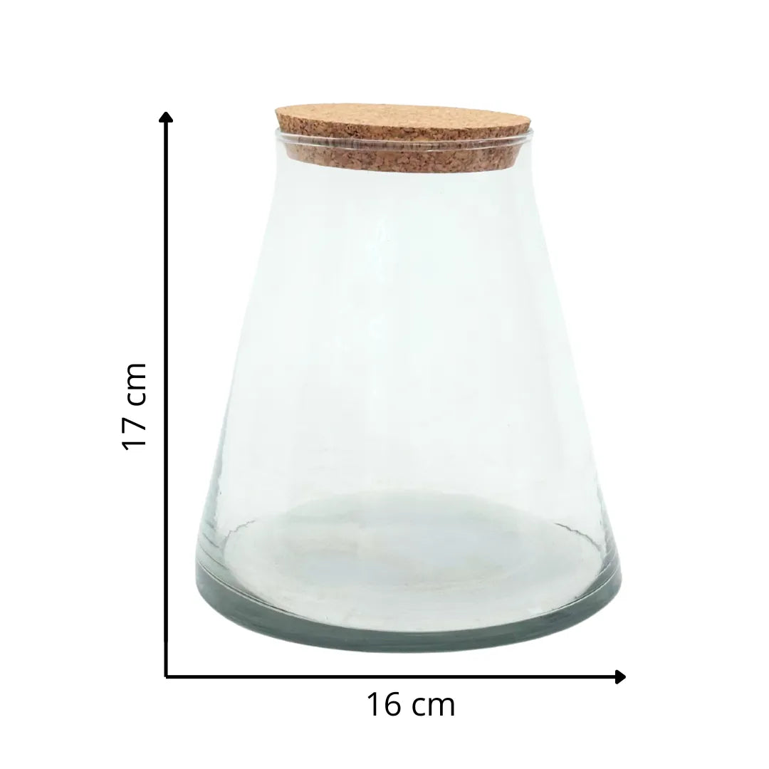 Glasbehälter für Terrarien mit Korkdeckel H17 × Ø16 — i Giardini di Giulia