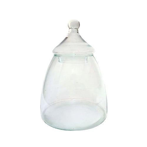 Contenitore in vetro soffiato per terrarium con tappo a cupola in vetro – ideale per composizioni vegetali chiuse

