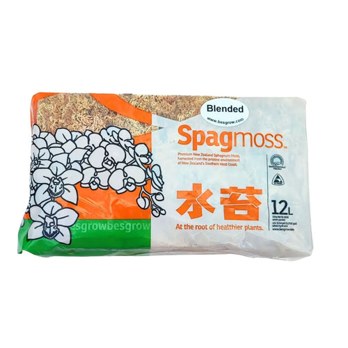Primo piano del muschio sphagnum Blended essiccato, ideale per kokedama e bonsai