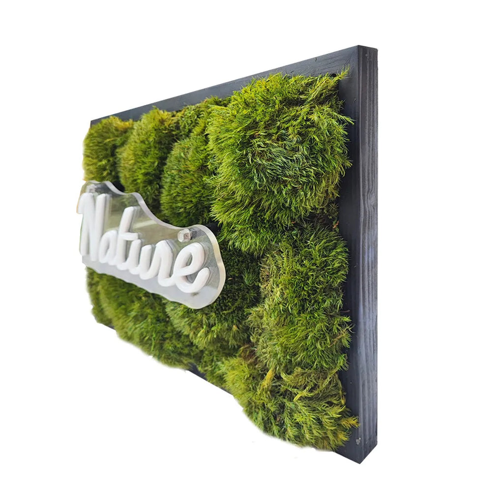 Quadro muschio stabilizzato - profilo laterale del quadro con muschio e luce LED accesa