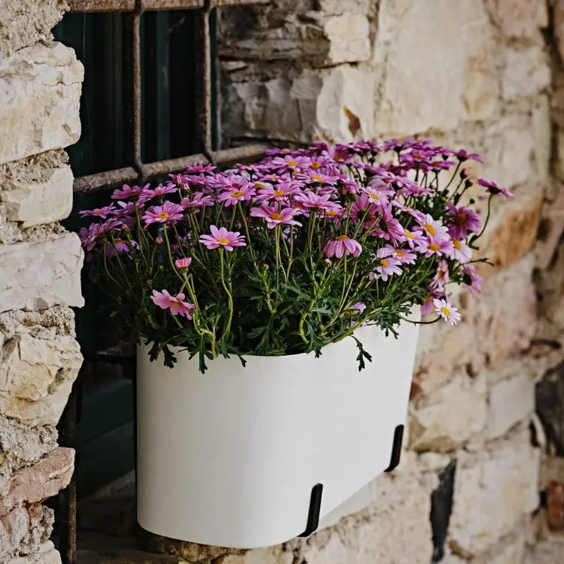 Fioriera Paros bianca installata su una finestra in pietra rustica, decorata con margherite viola in fiore, ideale per valorizzare davanzali, balconi e facciate esterne.