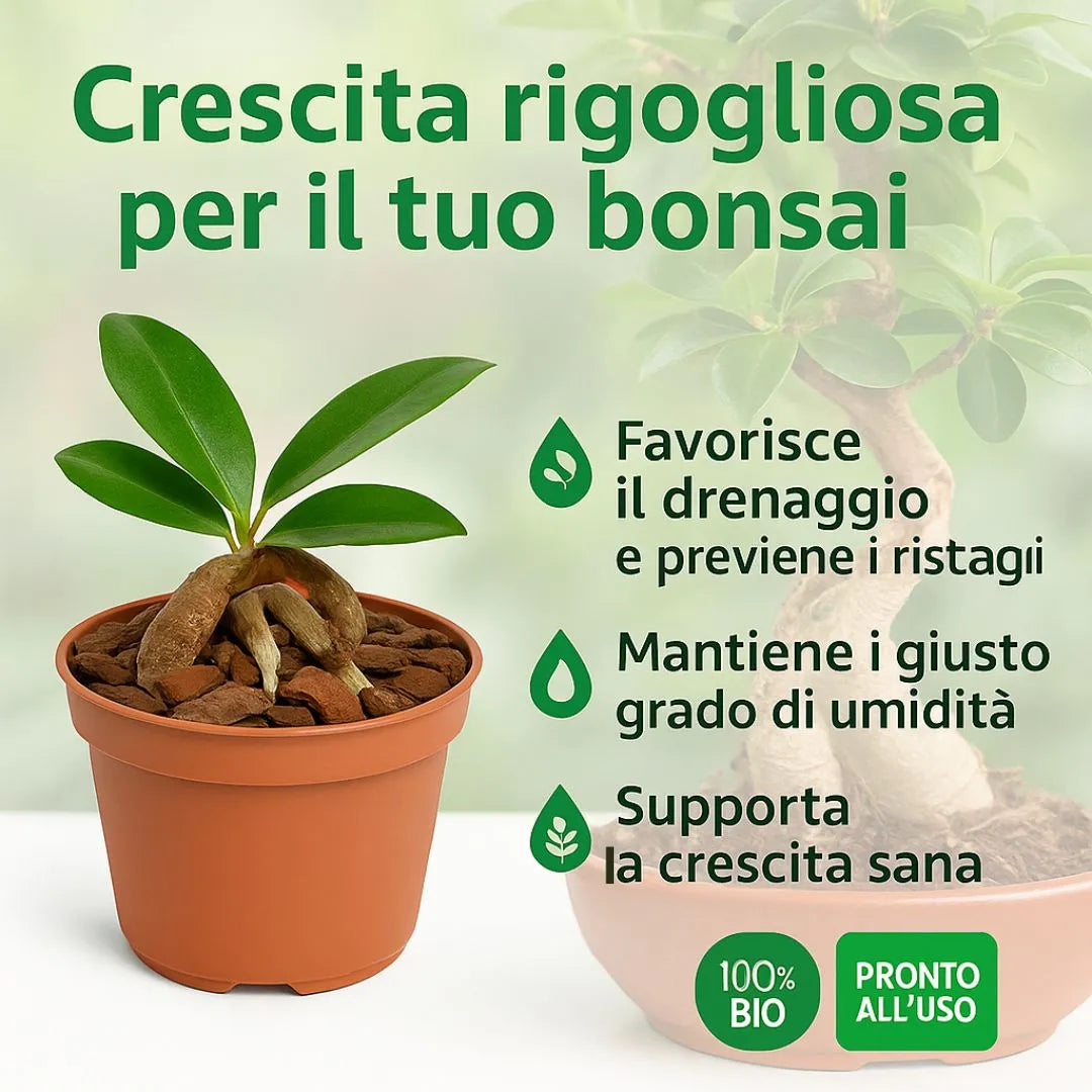 Terriccio specifico per Bonsai 1.5 L - i Giardini di Giulia  