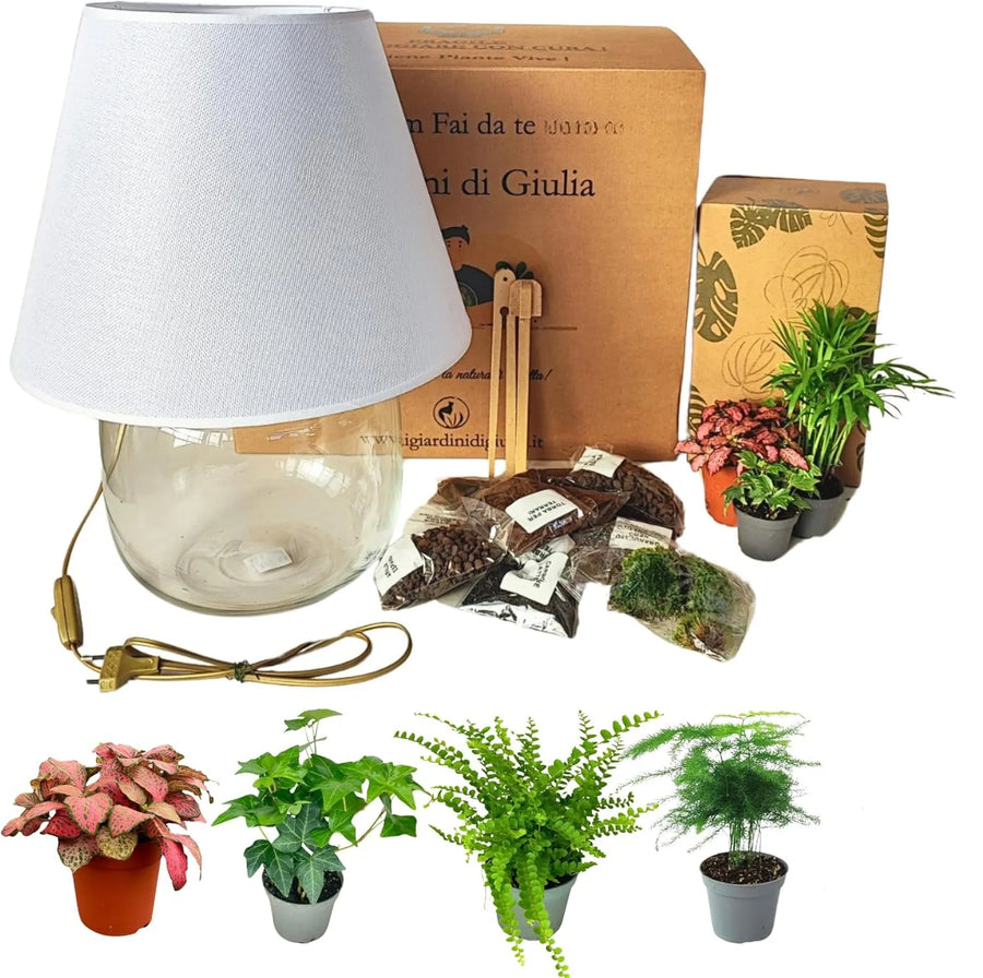 Kit Terrarium Lamparium Grande con piante verdi - vista frontale completa
