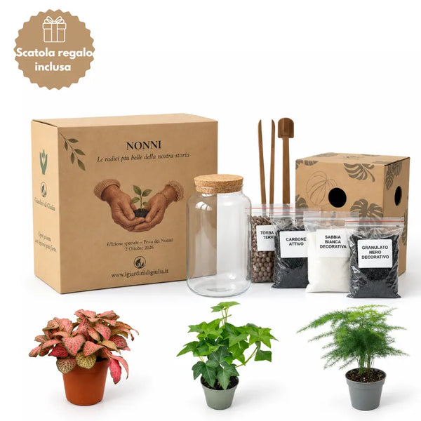 Terrarium-Bausatz zum Selbermachen Nadia | Gestalte deinen eigenen Indoor-Garten