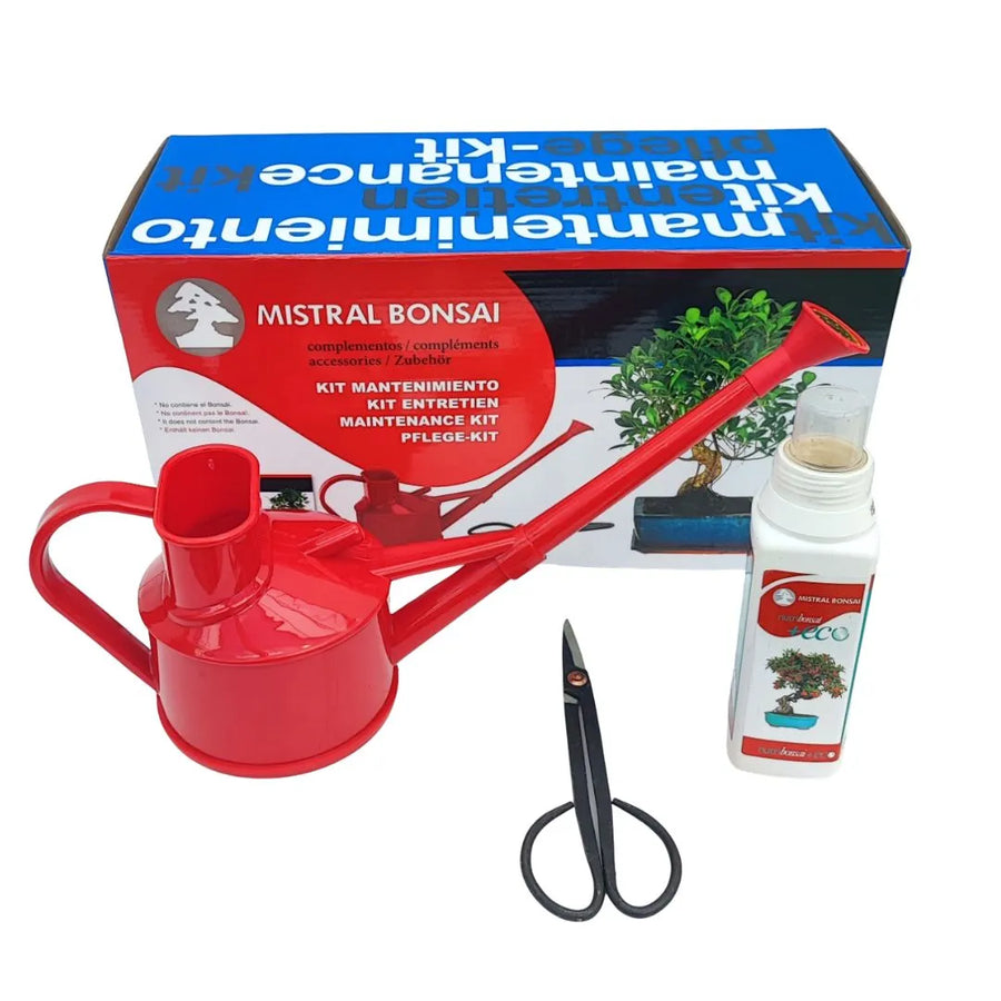 Kit Manutenzione Bonsai Mistral con accessori essenziali per la cura