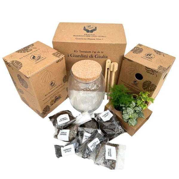 Kit terrarium fai da te con barattolo in vetro, piante vive, terriccio e accessori in confezioni ecologiche.