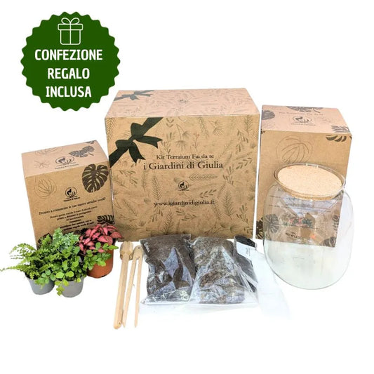 Kit Terrarium Medio con Piante Vere - tutti i componenti del kit e scatola regalo