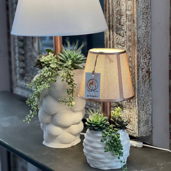 Due lampade decorative con base bianca scultorea e piante succulente sotto paralumi chiari.