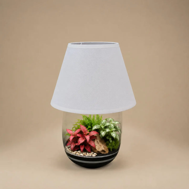 Lampada terrarium Oasi Lux Elegant con Fittonia rosa, Fittonia albivenis e muschio naturale all'interno di un vaso in vetro con paralume bianco.