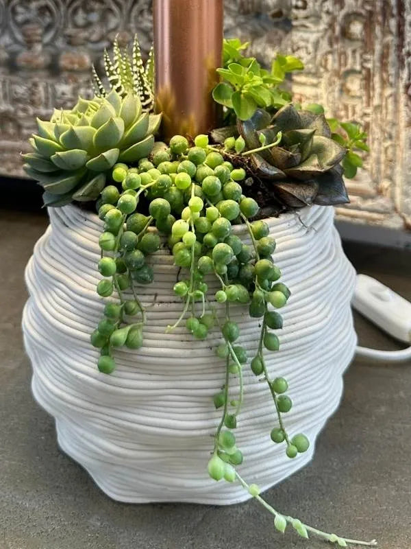 Lume Gaudì - i Giardini di Giulia 