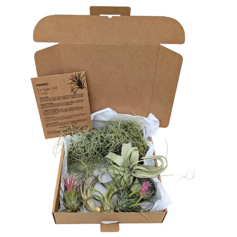 i Giardini di Giulia 