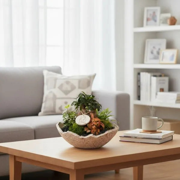 Géoterrarium avec bonsaï D.24