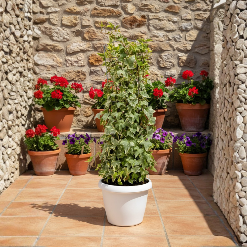 i Giardini di Giulia 